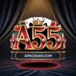 A55 Game