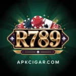 R789 Game