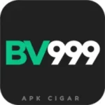 BV999 Game
